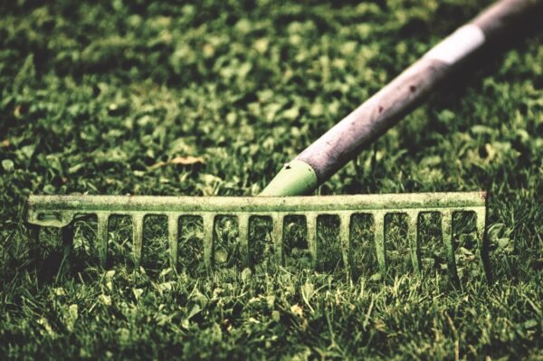 Root Stimulators: Unlocking Mycorrhizal Highways For Plant Growth