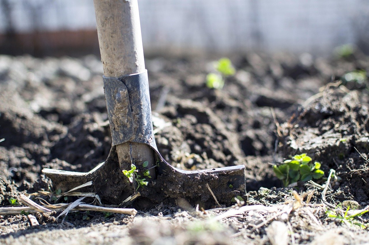 Beyond The Cord: Redefining Lawn Cares Electric Future