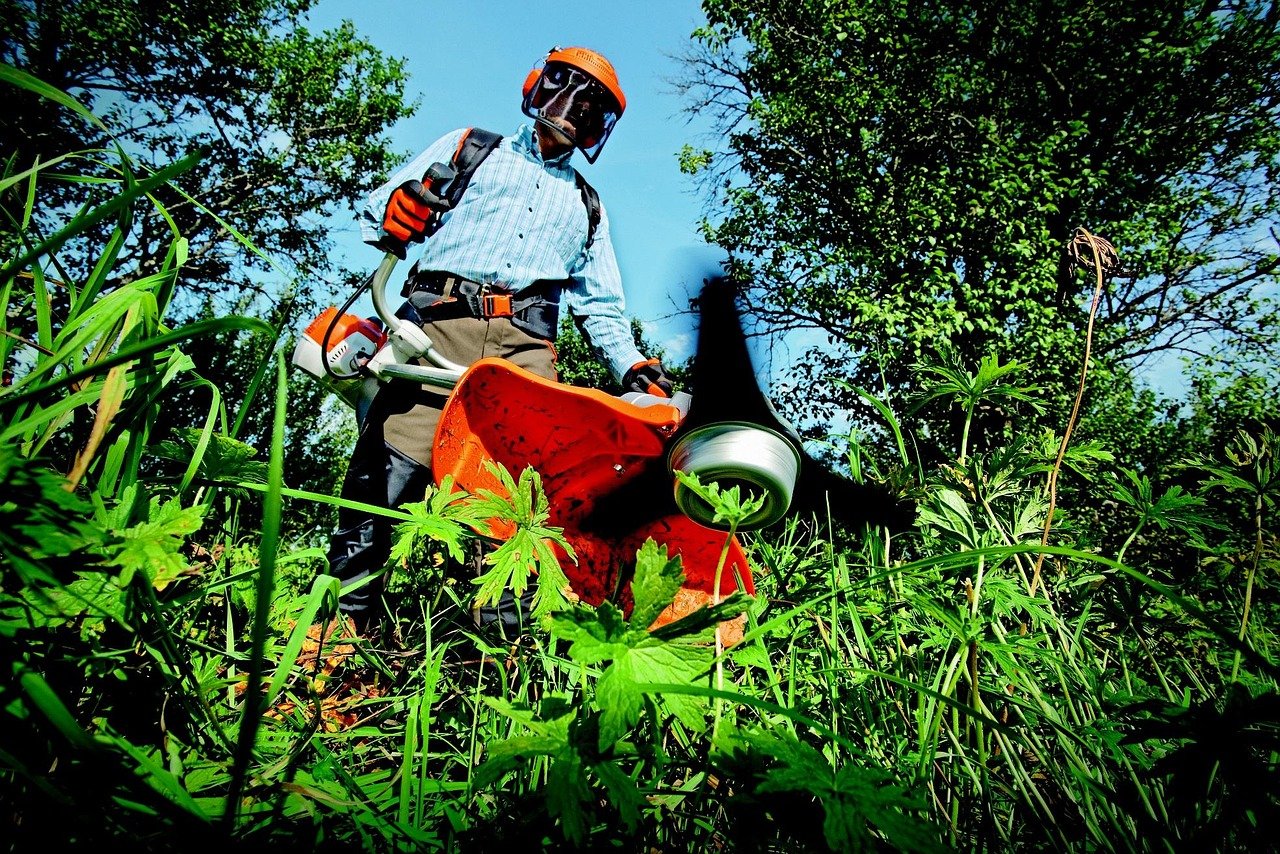 Beyond Peat: Sustainable Seed Starter Secrets