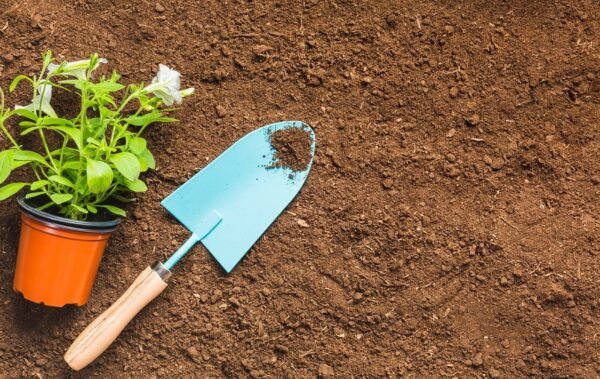 Hand Spade: Precision Tool For Garden Renaissance
