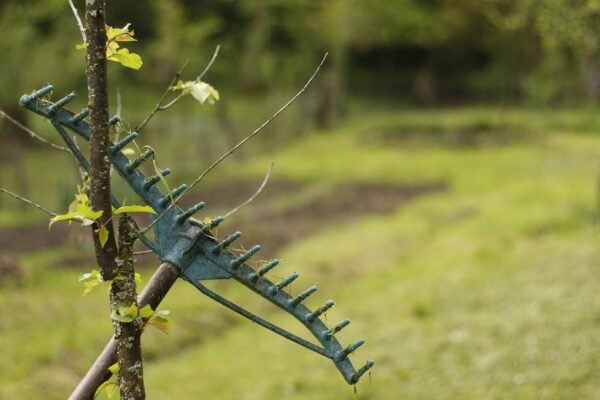 Secateurs: Anatomy Of Precision, Beyond The Cut.