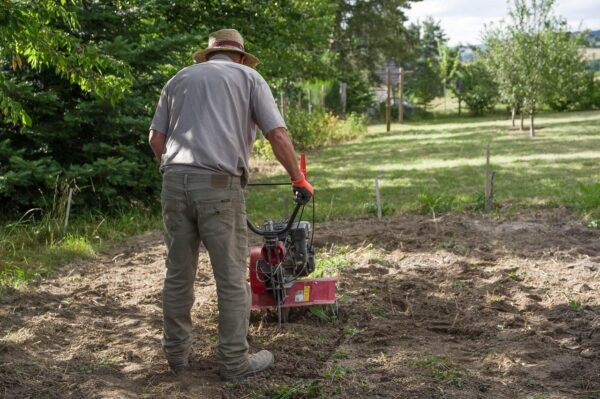 Peat Moss: Bogs Ancient Secret, Modern Soil Savior