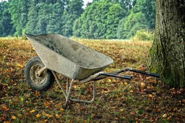 Grass Trimmer Tech: Cordless Vs. Gas, Power Decoded